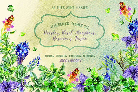 Bouquet of Herbs Watercolor Set Illustrations