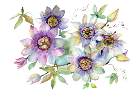 Bouquet of Spring Hello Watercolor Illustrations