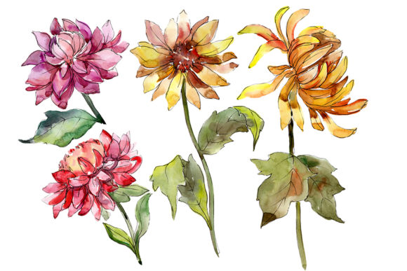 Bouquet Sunny Mood Watercolor Illustrations