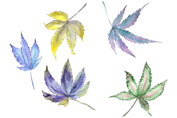 Cannabis Plant Watercolor Illustrations