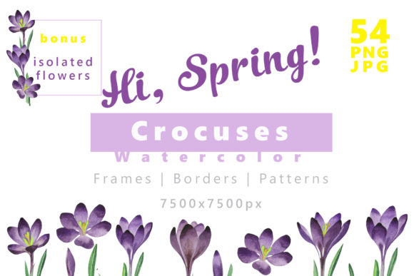 Crocuses Flower Watercolor Set Illustrations