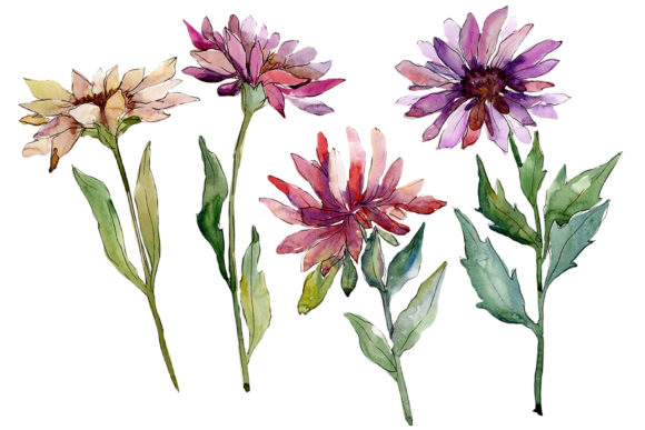 Divine Sweetness Watercolor Illustrations