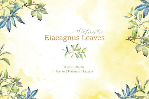Elaeagnus Leaves Watercolor Illustrations