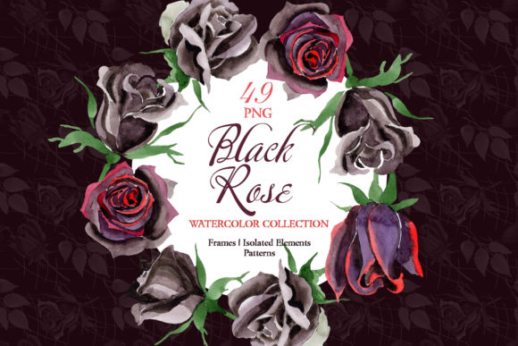 Exclusive Black Rose Watercolor Illustrations Review