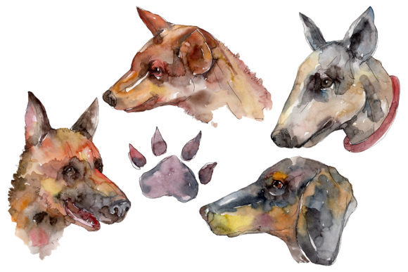 Farm Animals Dog Head Watercolor Illustrations