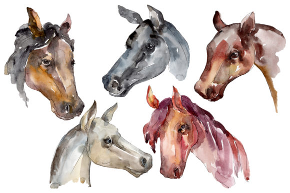 Farm Animals Horse Head Watercolor Illustrations