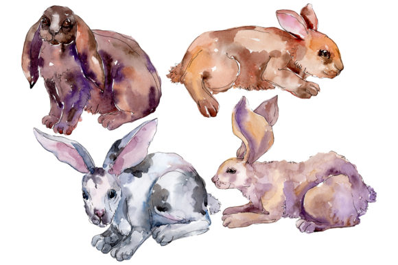 Farm Animals Rabbit Watercolor Illustrations