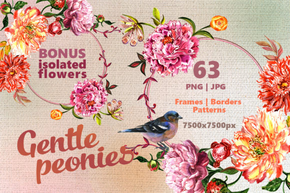 Gentle Peonies Watercolor Set Illustrations