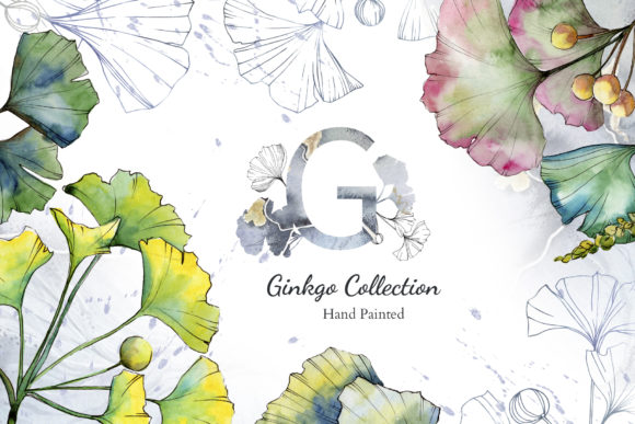 Green Ginkgo Leaves Watercolor and Vector Clipart Review