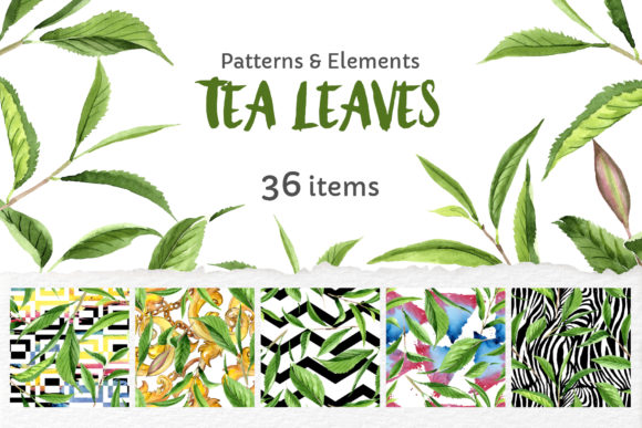 Green Tea Leaves Watercolor Embroidery Review