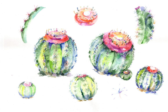 Green Tropical Cactuses Watercolor Set & Illustrations