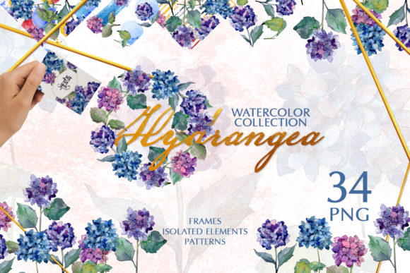 Hydrangea Watercolor: A Seller's Review