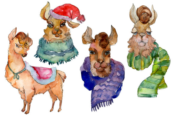 Lama Watercolor Illustrations for Local Brands