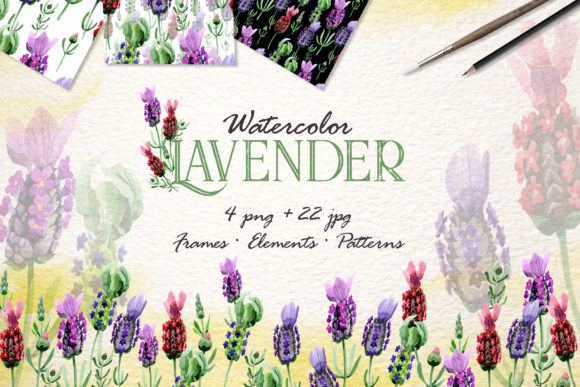 Lavender Watercolor Illustrations Review