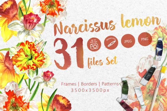 Narcissus Lemon Watercolor Flower Set Illustrations