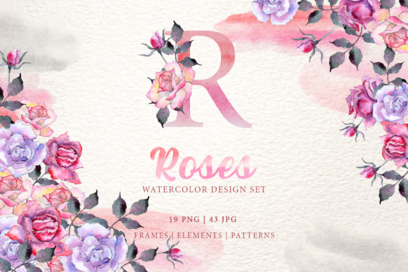 Pink Roses Watercolor Illustrations Review