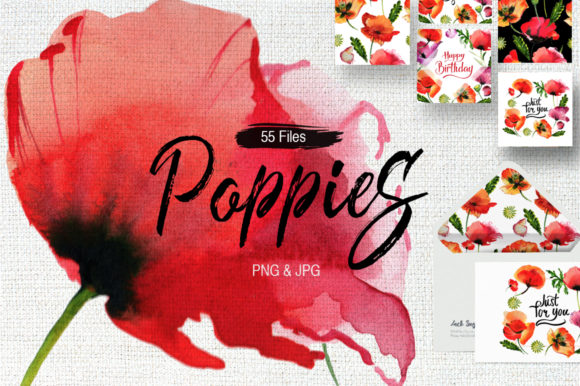 Poppy Flowers Watercolor Set & Illustrations