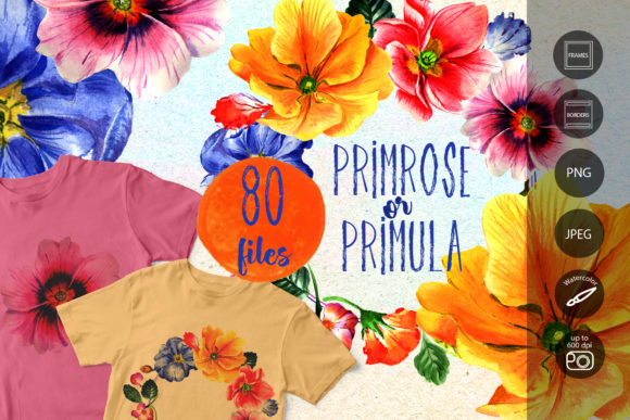 Primrose Flowers Watercolor Set Illustrations