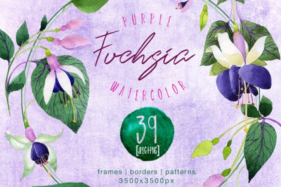 Purple Fuchsia Watercolor Flower Set & Illustrations