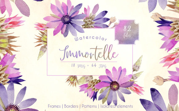 Purple Immortelle Watercolor Set Illustrations