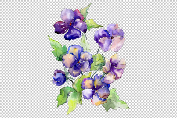 Purple Viola Set: Watercolor Illustrations Review