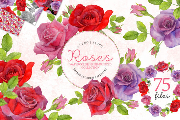 Red Rose Elegant Watercolor Illustrations Review