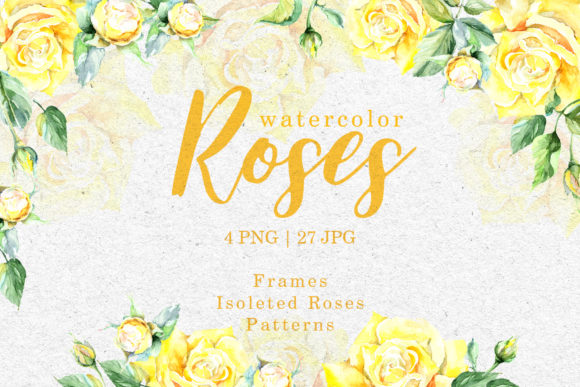 Roses Bright Yellow Watercolor Illustrations