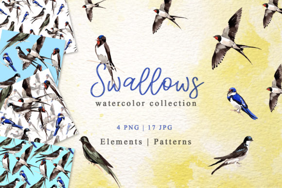 Swallows Watercolor Illustrations Review