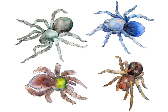 Tarantula Exotic Watercolor Embroidery Review