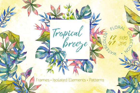 Tropical Breeze Watercolor: Fresh Illustrations