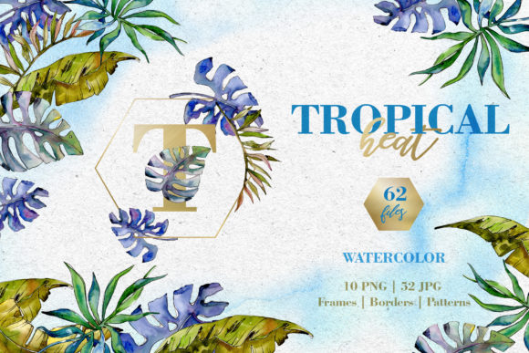 Tropical Heat Watercolor Illustrations Review