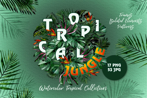 Tropical Jungle Watercolor Illustrations Review