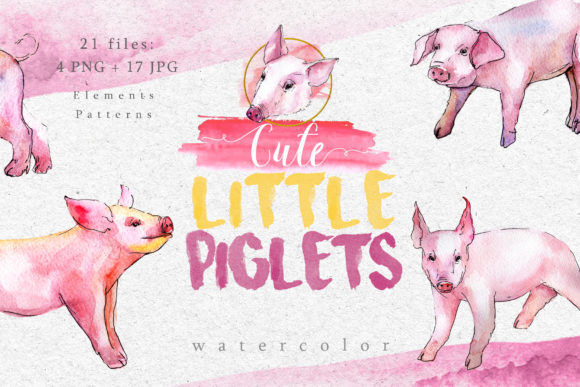 Watercolor Pink Pig Set Illustrations Review