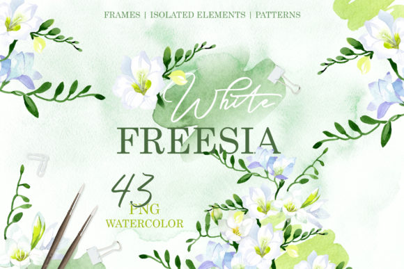 White Freesia Watercolor: A Designer's Review