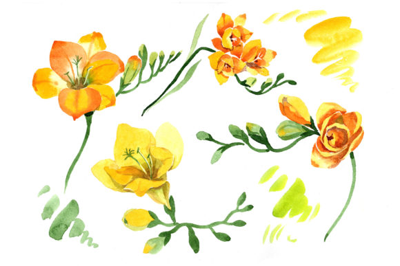 Wildflower Yellow Freesia Watercolor Set & Illustrations