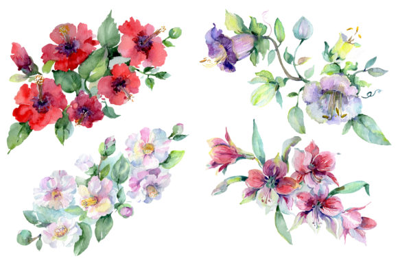 Wildflowers Morning Dawn Watercolor Review