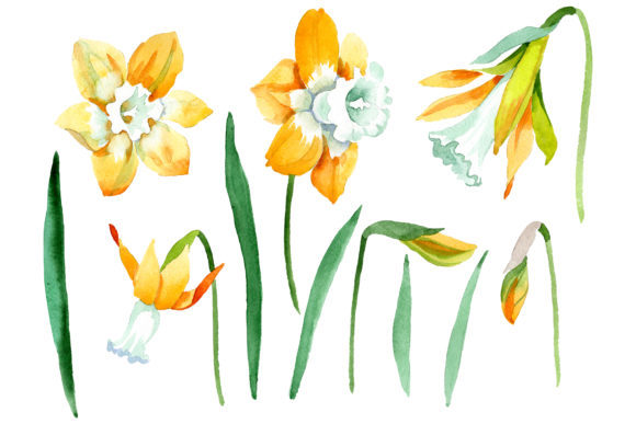 Yellow Narcissus Watercolor Embroidery Review